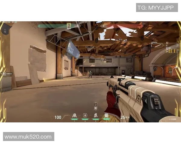 100Thieves正式宣布进军VALORANT并组建全新战队阵容 100Thieves正式宣布进军VALORANT并组建全新战队阵容