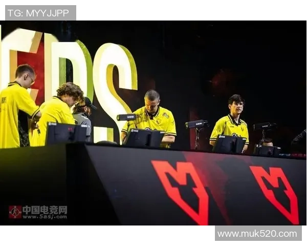 apEX谈Vitality队长之路分享电竞团队领导与激情的秘诀